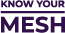 fixed_mesh_logo